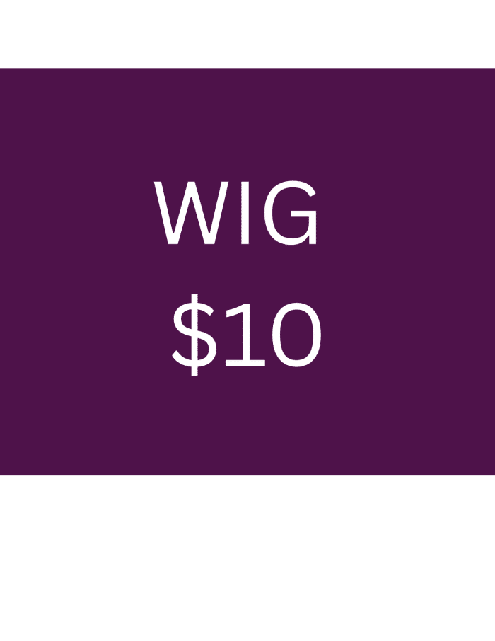 $10.00 WIG